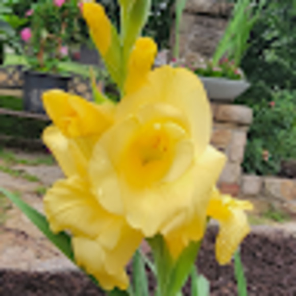 Meet your Posher, Jay - Picture 1 of 1